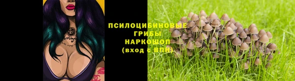 твердый Куйбышев
