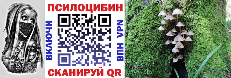 Псилоцибиновые грибы ЛСД  купить наркотик  Янаул 